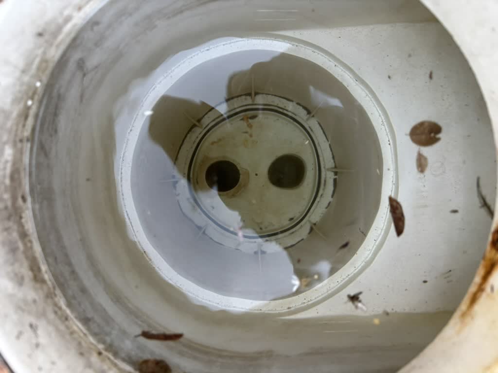 Filter Cleans photo 2
